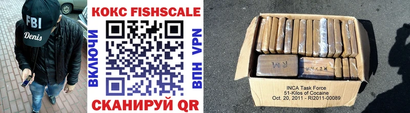 мега как зайти  закладки  Шенкурск  COCAIN FishScale 