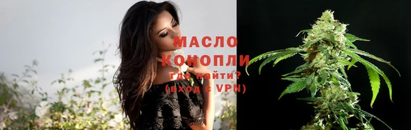 крисы Баксан