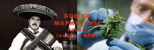 сатива Балахна