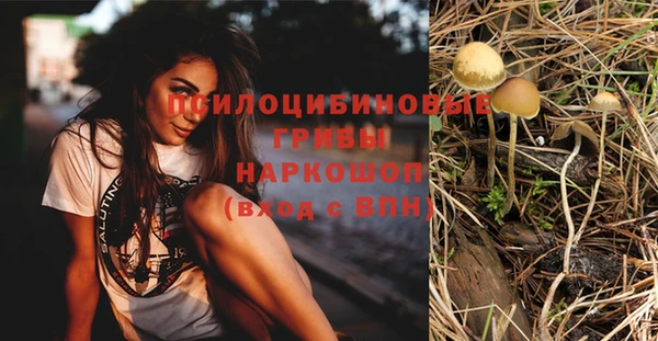 сатива Балахна