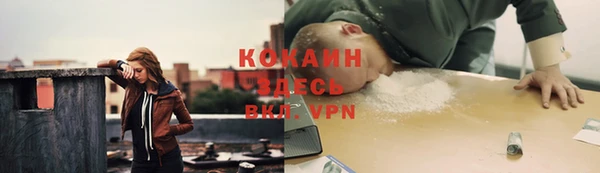 сатива Балахна