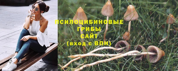 крисы Баксан