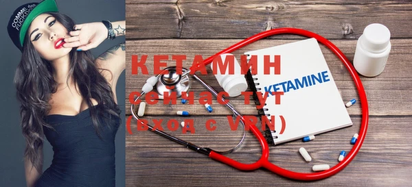 крисы Баксан
