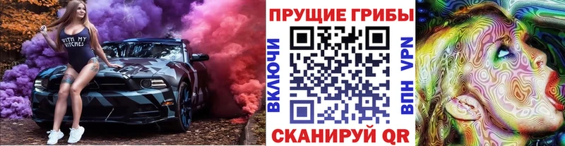 Галлюциногенные грибы Psilocybe  Шенкурск 